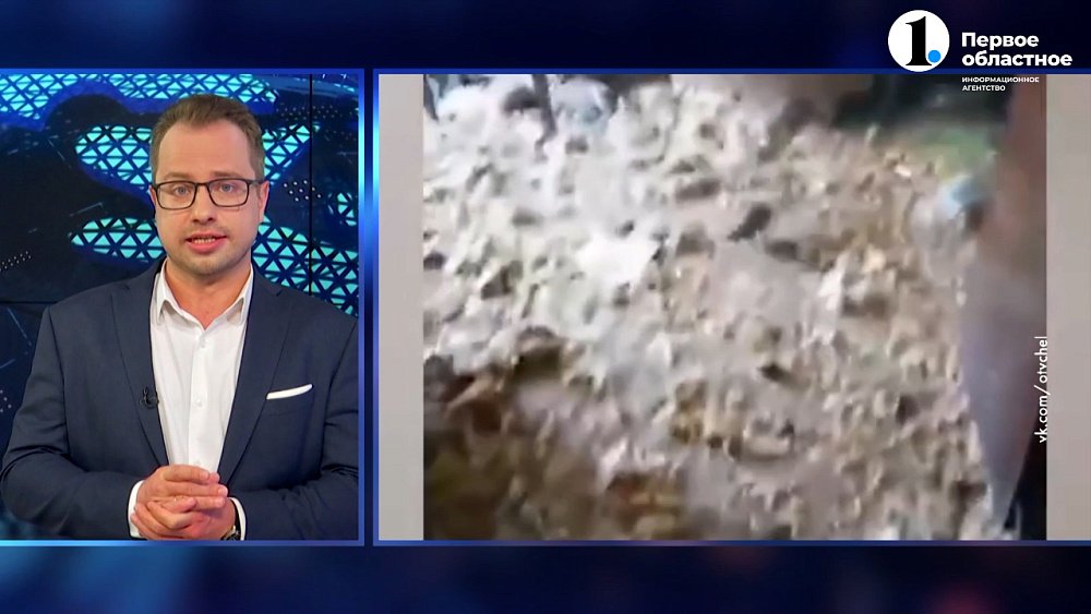 Женщина из Озерска разводила дома подвальных крыс