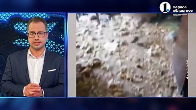 Женщина из Озерска разводила дома подвальных крыс