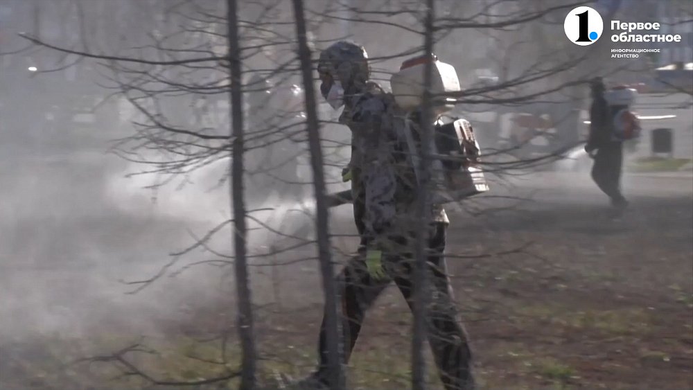 В Магнитогорске от клещей обрабатывают парки