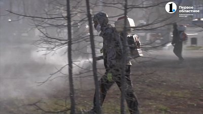 В Магнитогорске от клещей обрабатывают парки