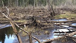 Челябинцы находят пропавших солдат времен Великой Отечественной по всей России