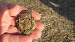 Челябинцы находят пропавших солдат времен Великой Отечественной по всей России