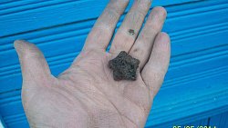 Челябинцы находят пропавших солдат времен Великой Отечественной по всей России