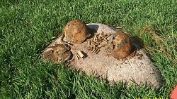 Челябинцы находят пропавших солдат времен Великой Отечественной по всей России