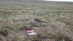 Челябинцы находят пропавших солдат времен Великой Отечественной по всей России