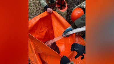 В нацпарке «Зигальга» провели полевую тренировку по тушению пожара