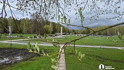 Журналисты Первого областного побывали на единственном в мире кладбище деревень