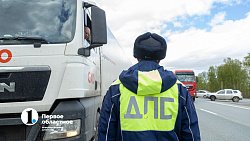 #ОтдохнуИпоеду! На трассе А‑310 в Челябинской области прошла акция для дальнобойщиков