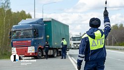 #ОтдохнуИпоеду! На трассе А‑310 в Челябинской области прошла акция для дальнобойщиков