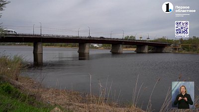 В Троицке полицейские спасли девушку, упавшую в воду