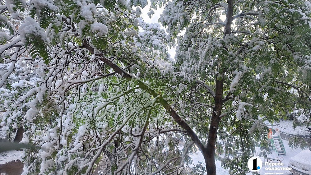 Челябинскую область 10 мая накрыло снегом