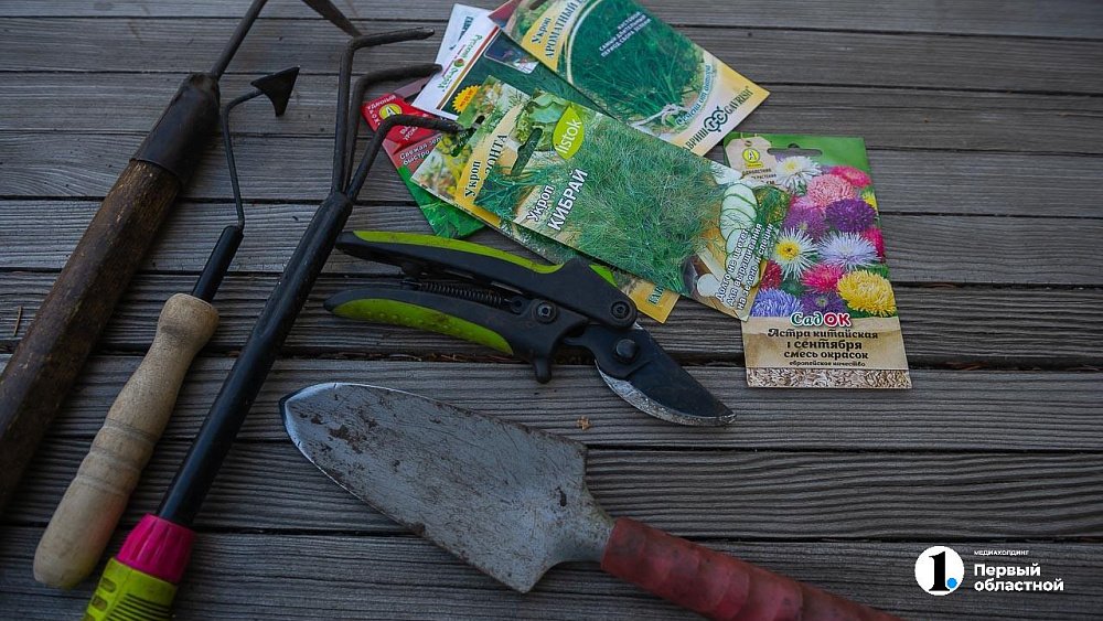 Дачница рассказала, какие овощи можно садить в мае в открытый грунт