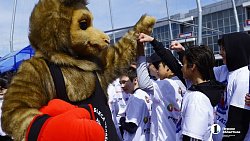 Более 500 школьников Челябинской области приняли участие в празднике «Бокс в школу»