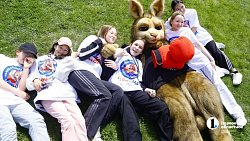 Более 500 школьников Челябинской области приняли участие в празднике «Бокс в школу»