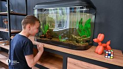 Фонд 2020 открыл в Челябинске центр для подростков «Оранжевый верблюд»