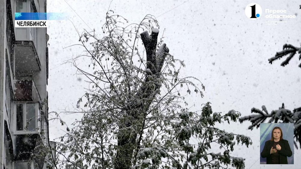 Челябинскую область накрыл снежный циклон