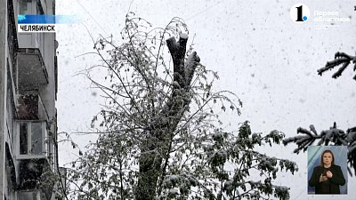 Челябинскую область накрыл снежный циклон