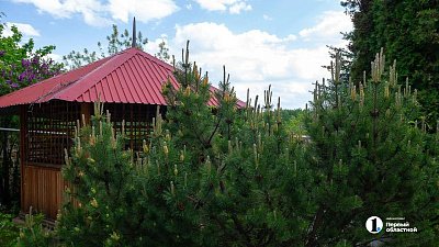 Куда жаловаться на мусор, скапливающийся на дачном участке соседа