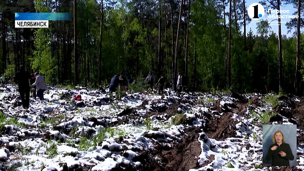 Депутаты ЗСО приняли участие в акции «Сад памяти»