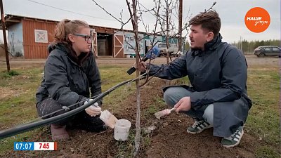 Работаем в поле в сюжете «Волонтеры в Григорьевских садах»