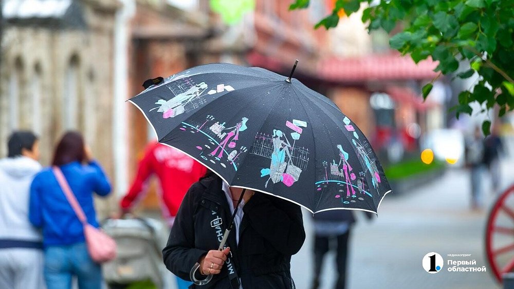 Дожди с грозами и потепление до +19 градусов прогнозируют в Челябинской области 17 мая