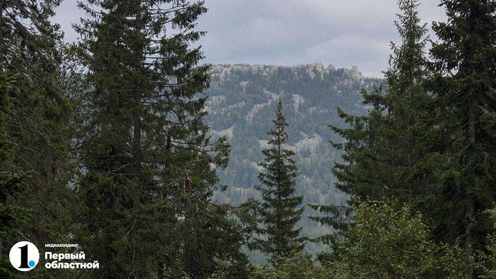 Ребенок сорвался с высоты, гуляя по горе в Челябинской области