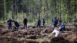 В Челябинском городском бору высадили свыше тысячи сосен