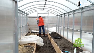 Для хороших урожаев нужно потрудиться. Моем теплицу!