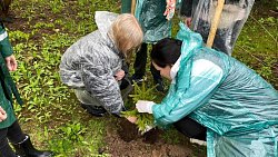 В Подмосковье проложат экотропу протяженностью два километра