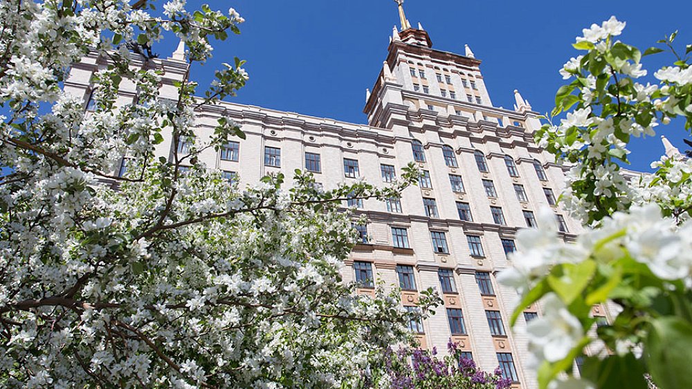 Вузы Челябинской области получат 39 млн рублей на реализацию проектов