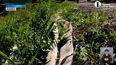 Поселок Горняк затопило грунтовыми водами