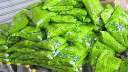 На Челябинской таможне пресекли ввоз 300 кг конфет с Украины