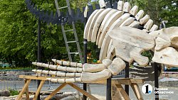 Кит, подводная лодка и сказочный корабль «приплывут» в челябинский парк Пушкина