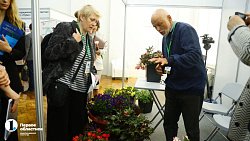 Алексей Текслер рассказал на экофоруме о высадке цветов на бывшей городской свалке Челябинска