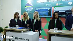 Алексей Текслер рассказал на экофоруме о высадке цветов на бывшей городской свалке Челябинска