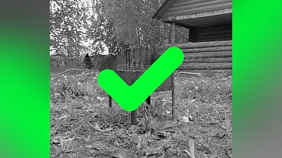 Южноуральцам напомнили о том, как безопасно жарить шашлыки