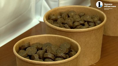 В приютах для животных не хватает денег на корм