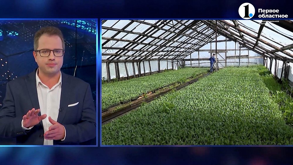 Посевную кампанию на Южном Урале планируют закончить 10 июня