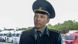 В Челябинск привезли первую партию слив из Узбекистана