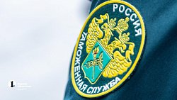 В Челябинск привезли первую партию слив из Узбекистана