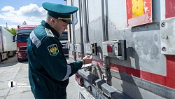 В Челябинск привезли первую партию слив из Узбекистана