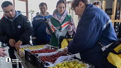 В Челябинск привезли первую партию слив из Узбекистана