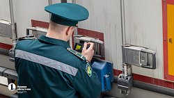 В Челябинск привезли первую партию слив из Узбекистана