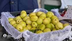 В Челябинск привезли первую партию слив из Узбекистана