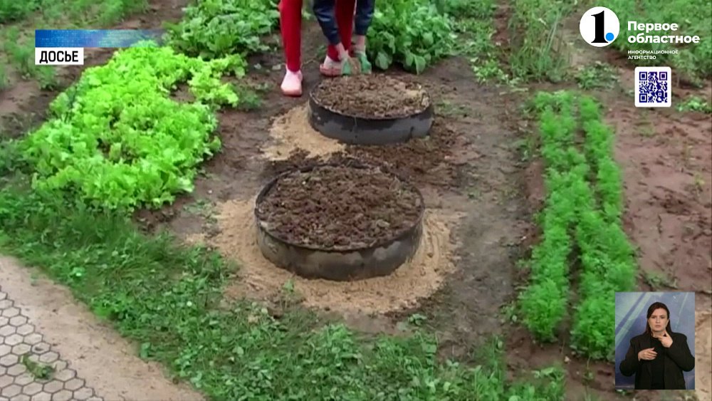 Почему запретили покрышки в декоре дворов