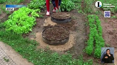 Почему запретили покрышки в декоре дворов