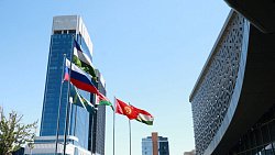 Алексей Текслер принял участие в заседании Совета регионов России и Узбекистана