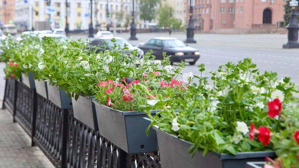 Центр Челябинска украсили кашпо с петуньями