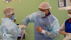 «Костный цемент» избавляет от боли в спине челябинских пациентов