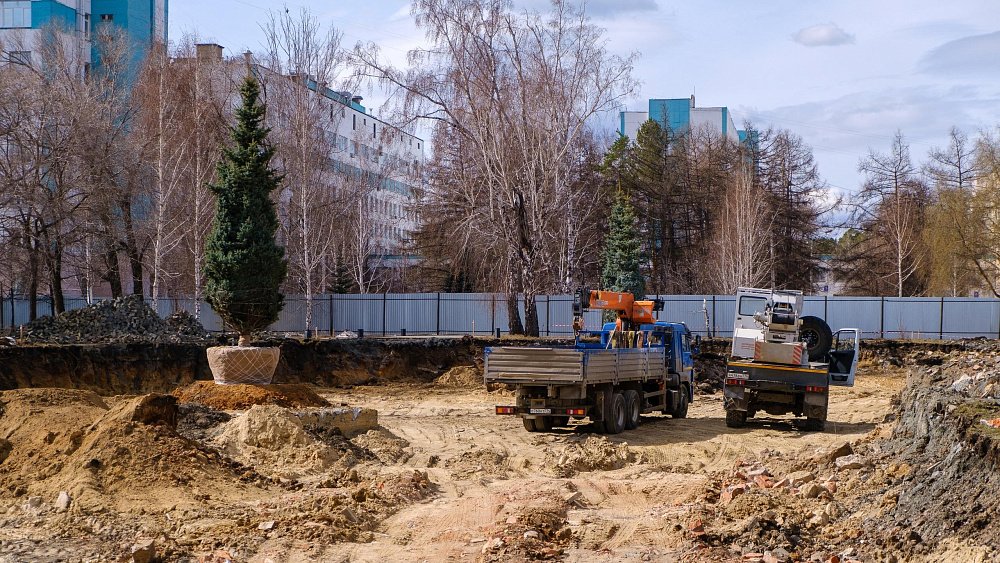 Деревьям со стройплощадки нового корпуса ЧОДКБ нашли новый дом
